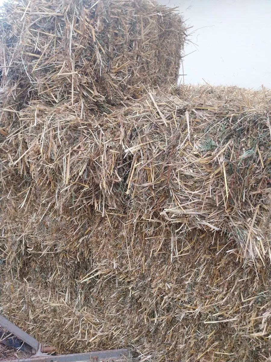 Good Quality Oaten straw and hay - Image 1