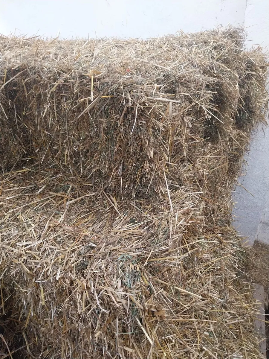 Good Quality Oaten straw and hay - Image 2