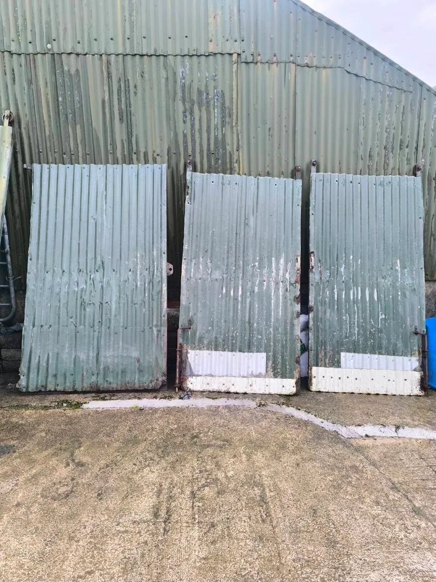 Steel Doors - Image 2