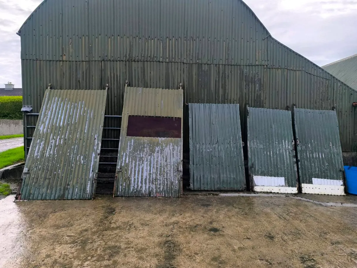Steel Doors - Image 3