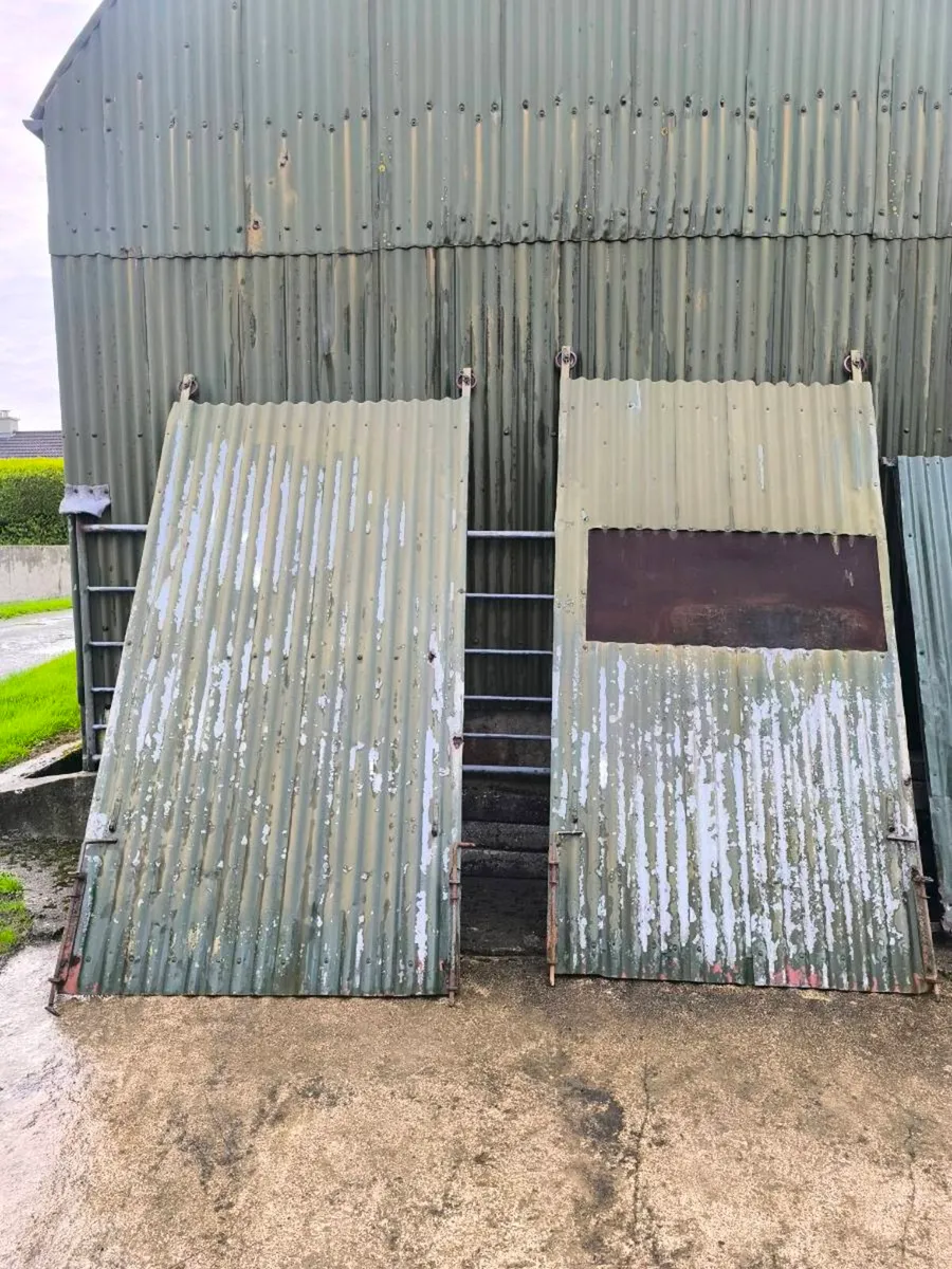 Steel Doors - Image 1