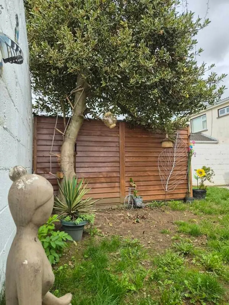 Shed,metal - Image 4