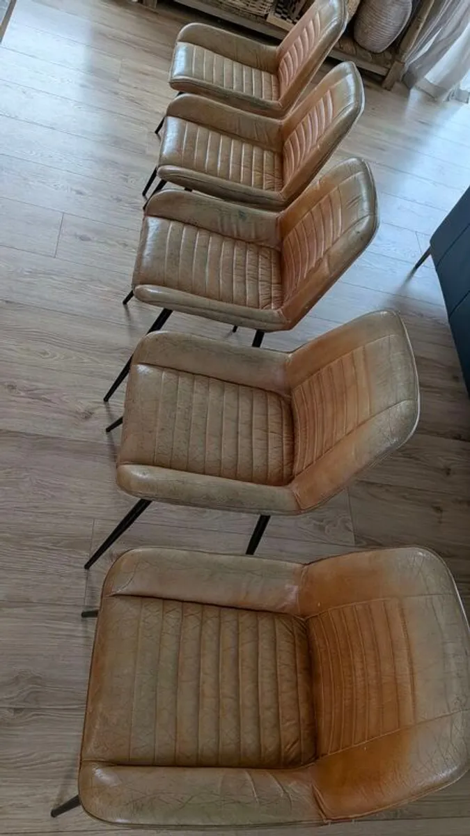 Dining chairs Buffalo Leather tan - Image 1