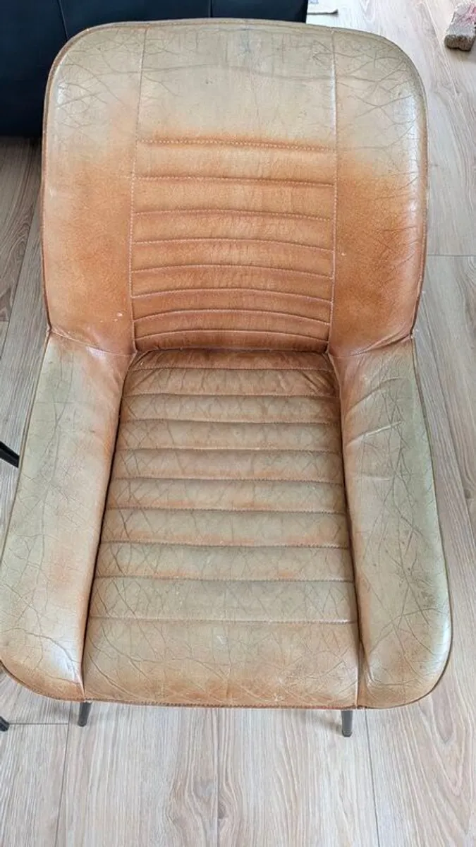 Dining chairs Buffalo Leather tan - Image 2