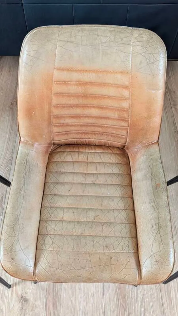 Dining chairs Buffalo Leather tan - Image 3