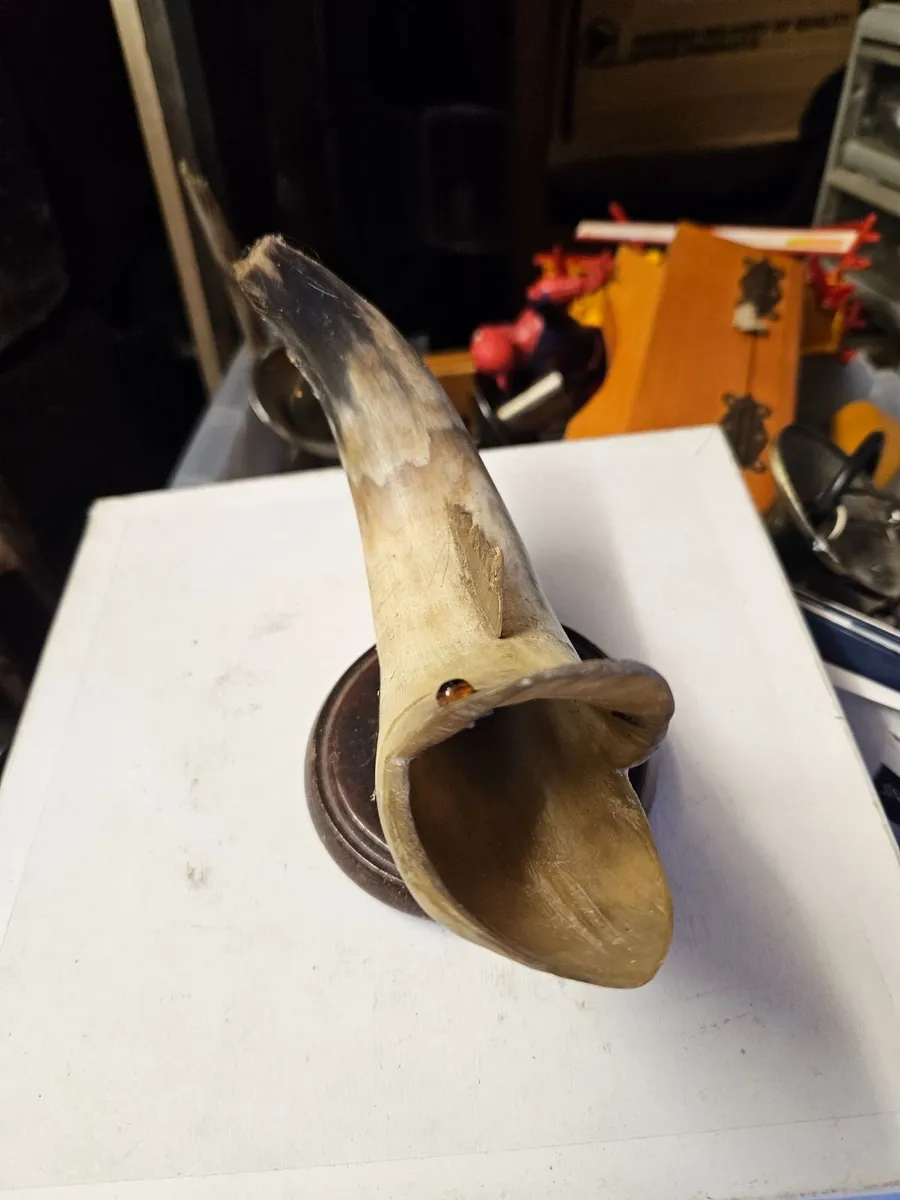 Vintage Horn - Image 2