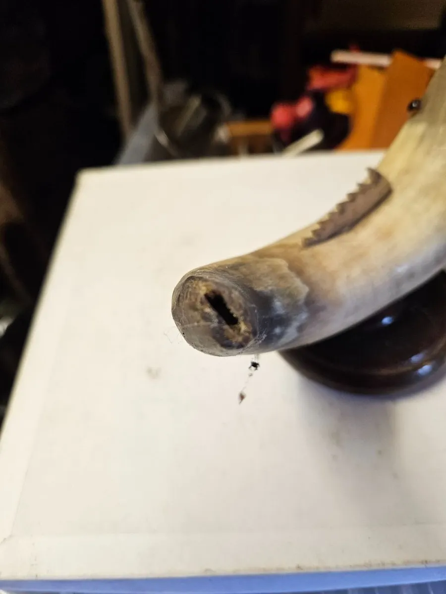Vintage Horn - Image 3