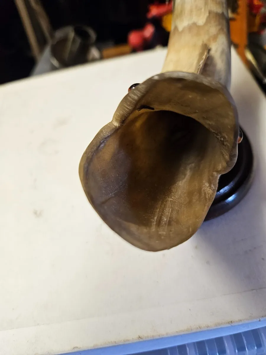 Vintage Horn - Image 4