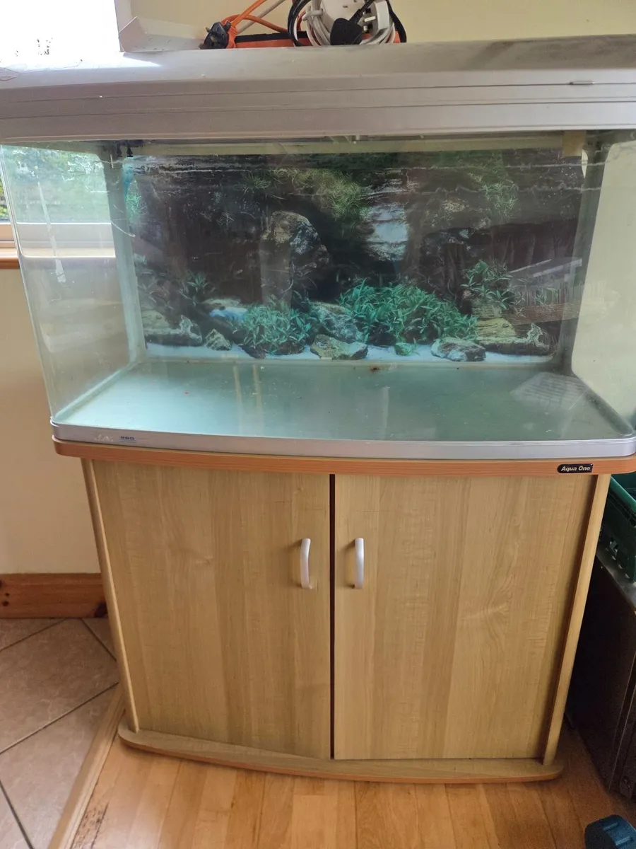 Fish tank - Image 1