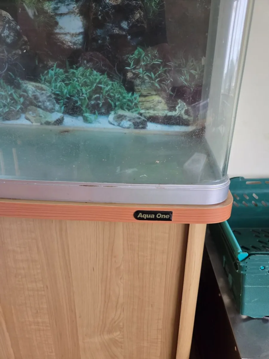 Fish tank - Image 2