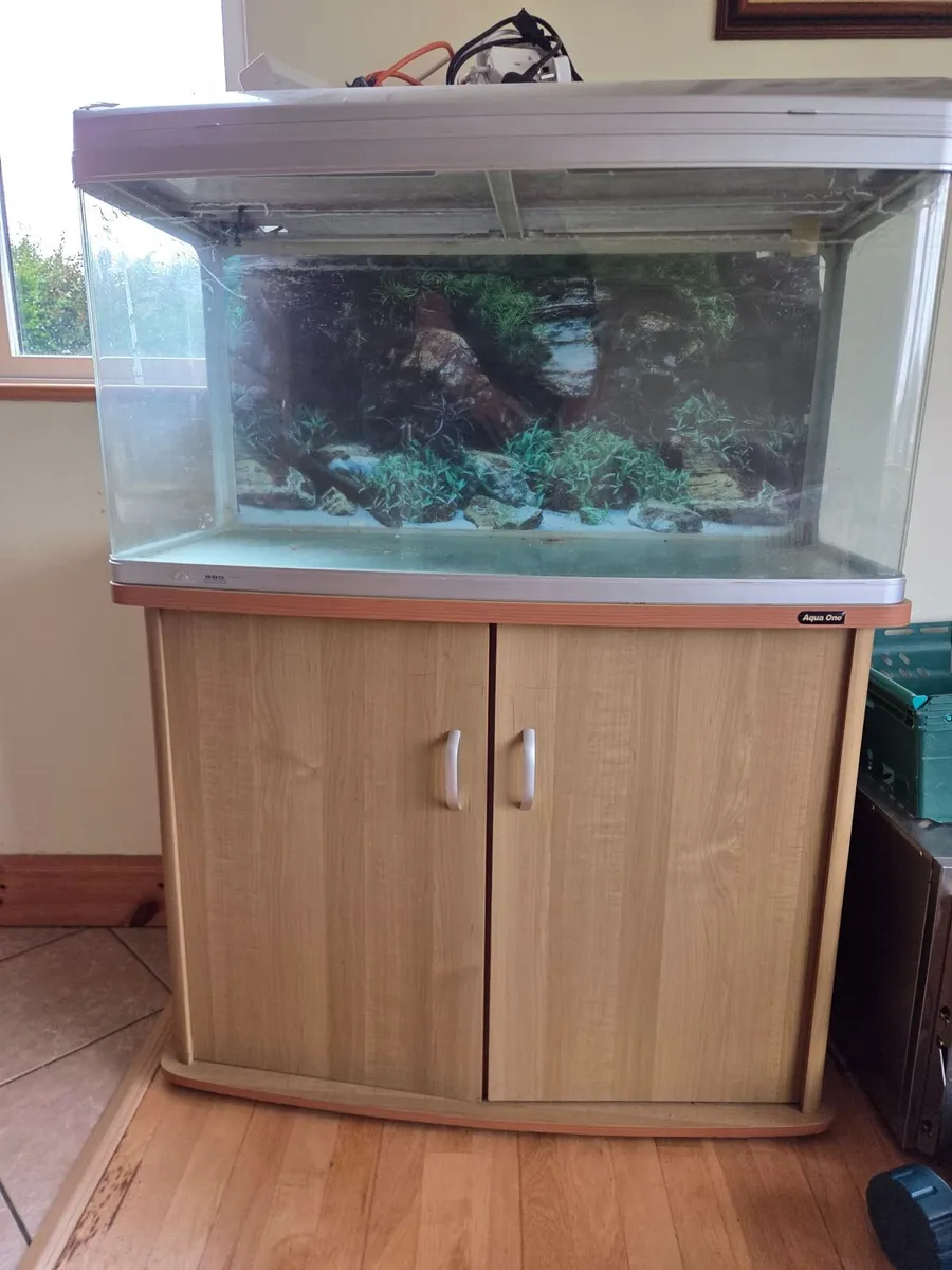 Fish tank - Image 4