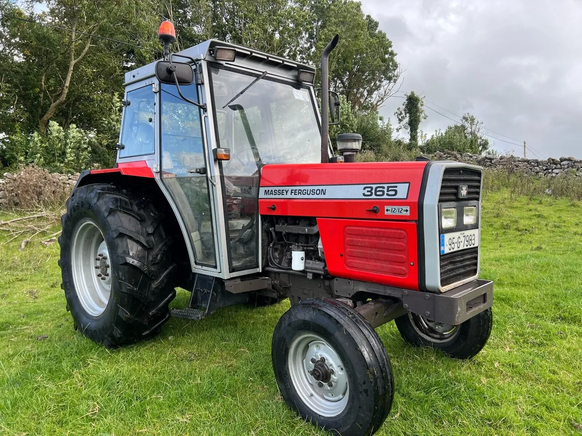 Massey Ferguson 365 - Image 1