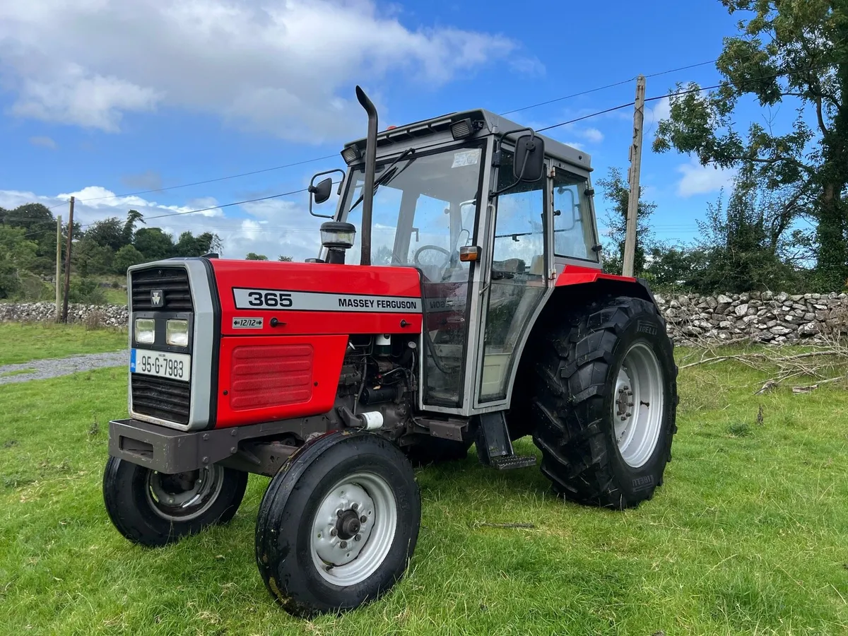 Massey Ferguson 365 - Image 2