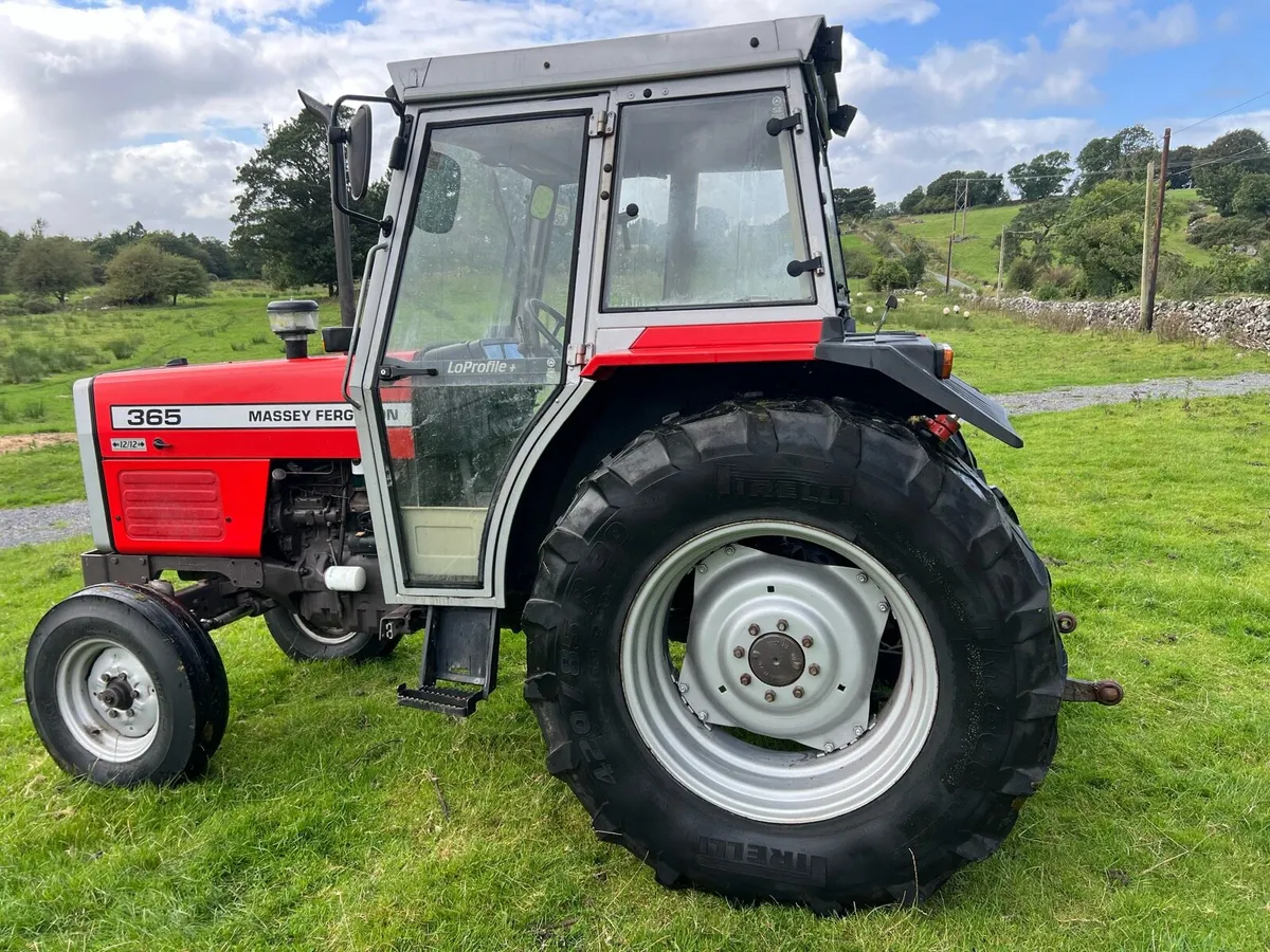 Massey Ferguson 365 - Image 3