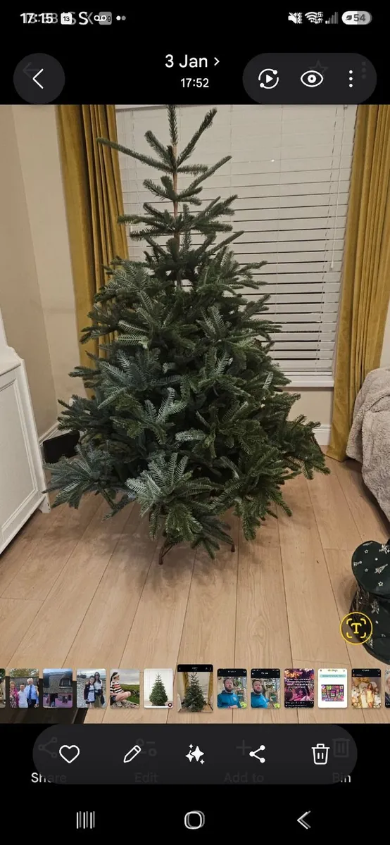 Christmas tree - Image 1