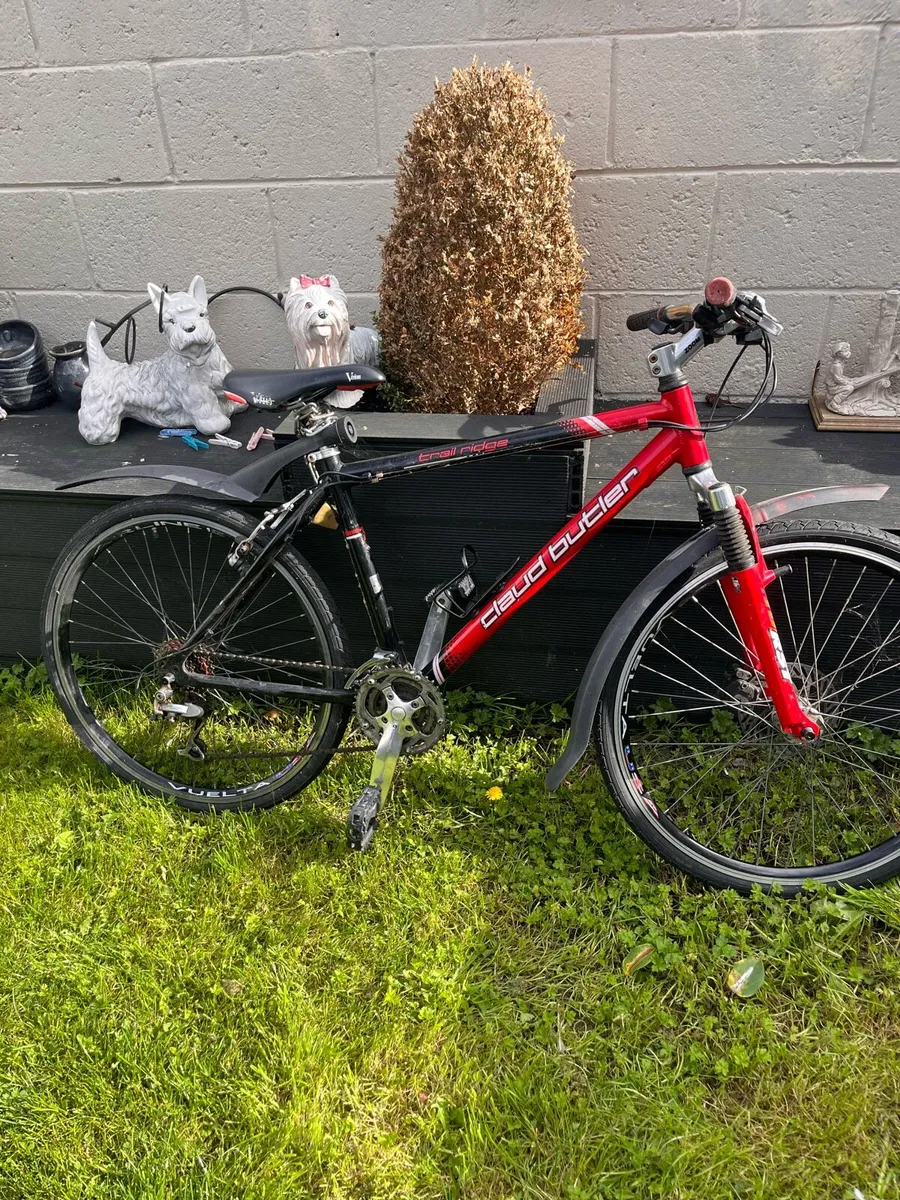 Mountain bike - Image 1