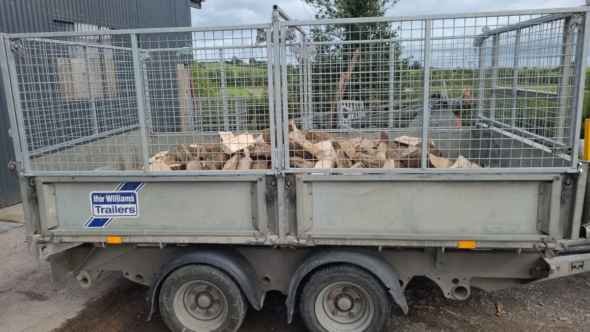 Ash Firewood - Image 4