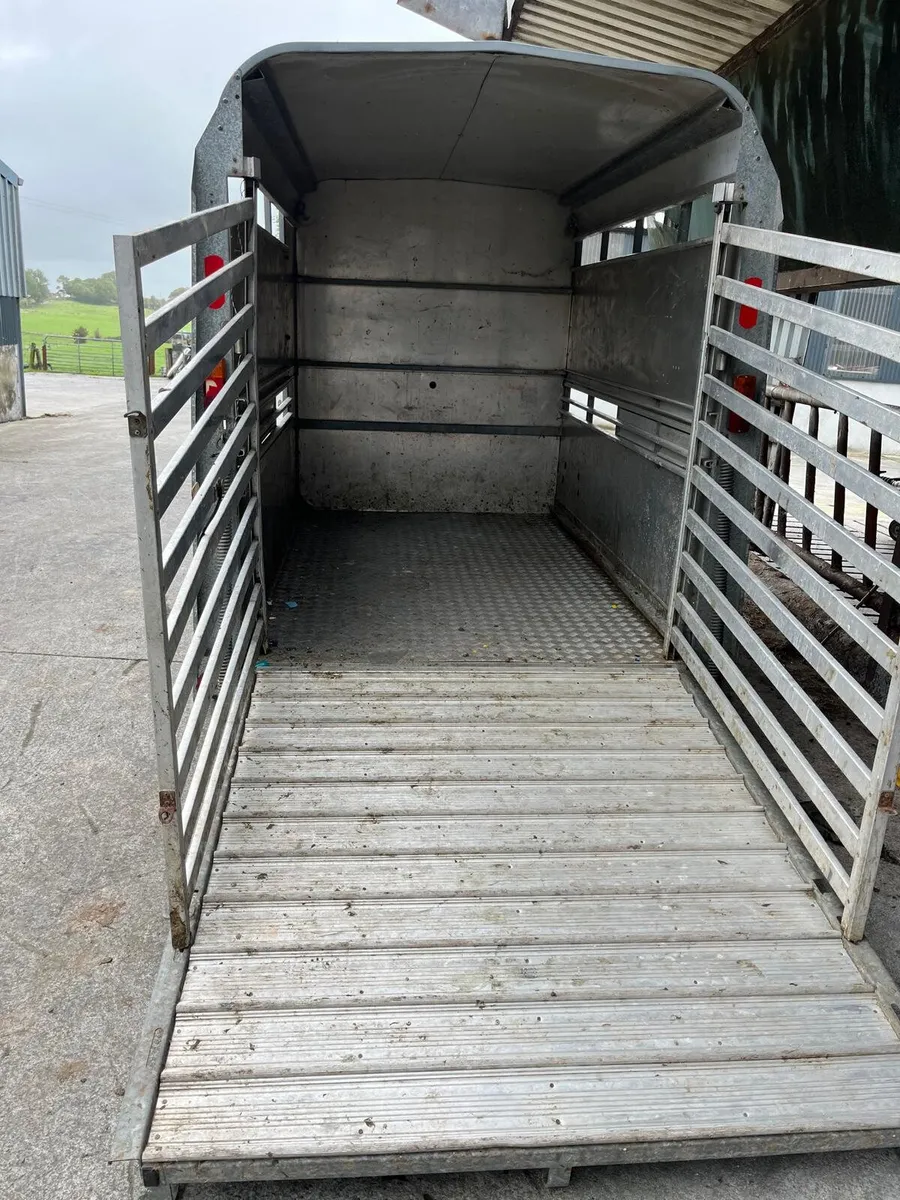 Cattle trailer 8×5 iforwilliams - Image 1