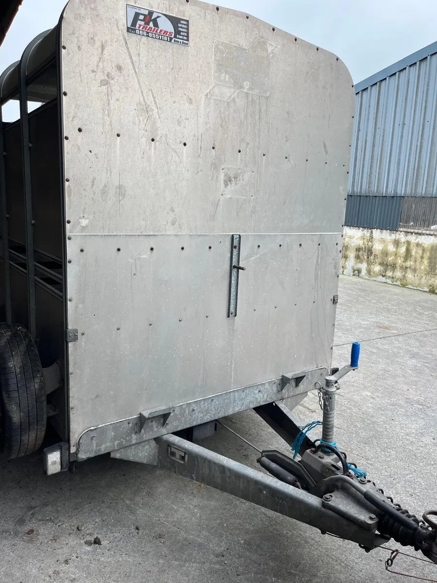 Cattle trailer 8×5 iforwilliams - Image 3
