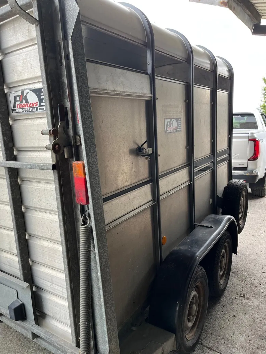 Cattle trailer 8×5 iforwilliams - Image 4