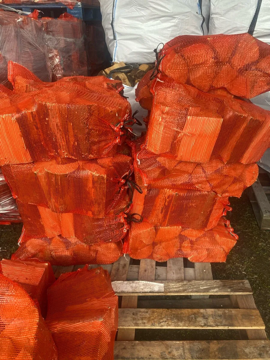 Softwood Timber - Image 2