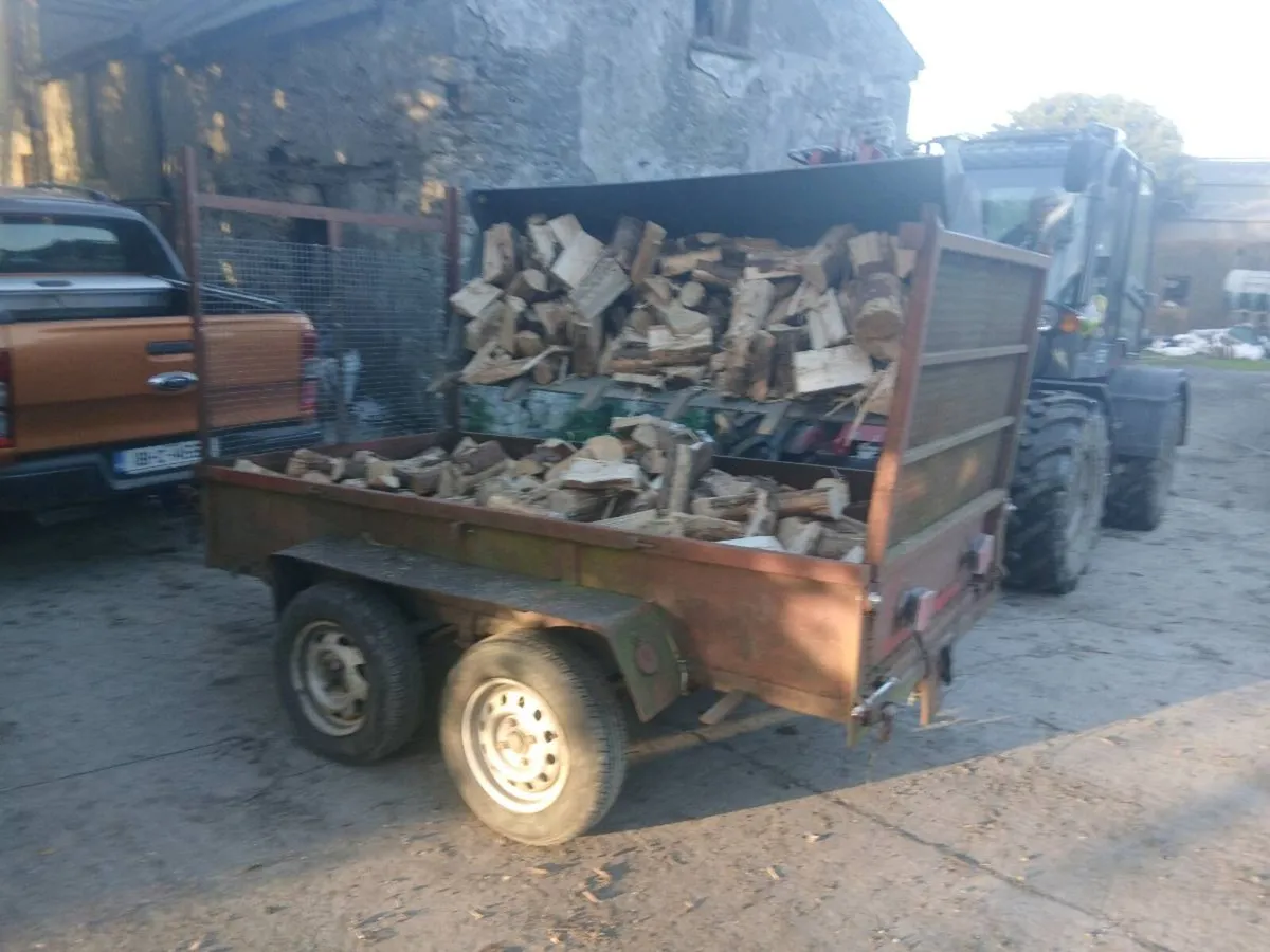 Firewood - Image 1
