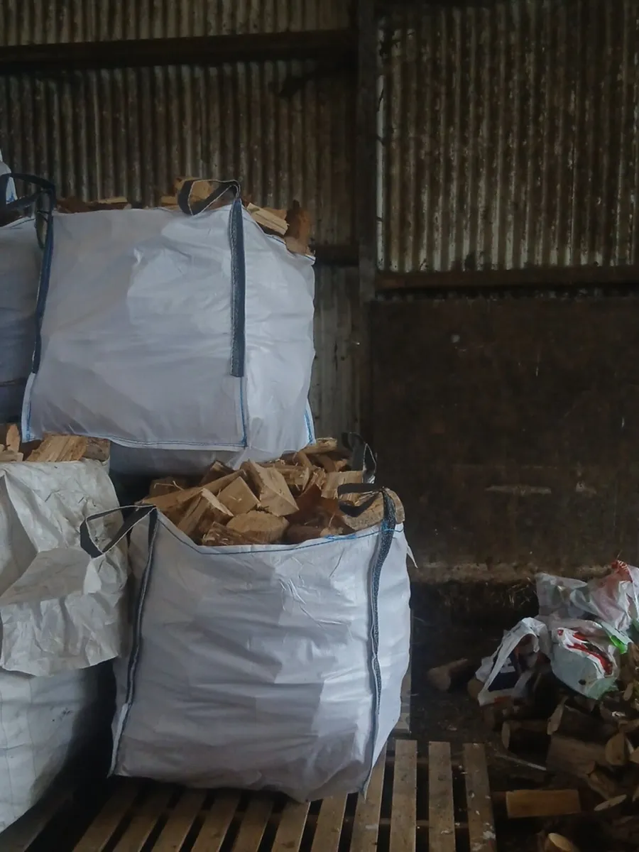 Firewood - Image 2