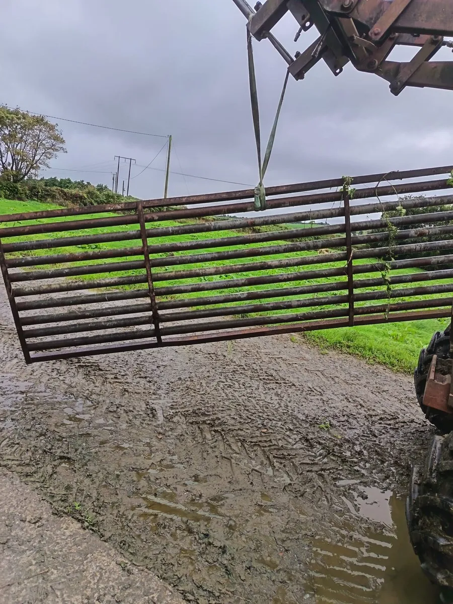 12ft cattle grid - Image 3