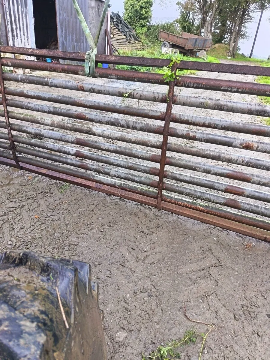 12ft cattle grid - Image 1