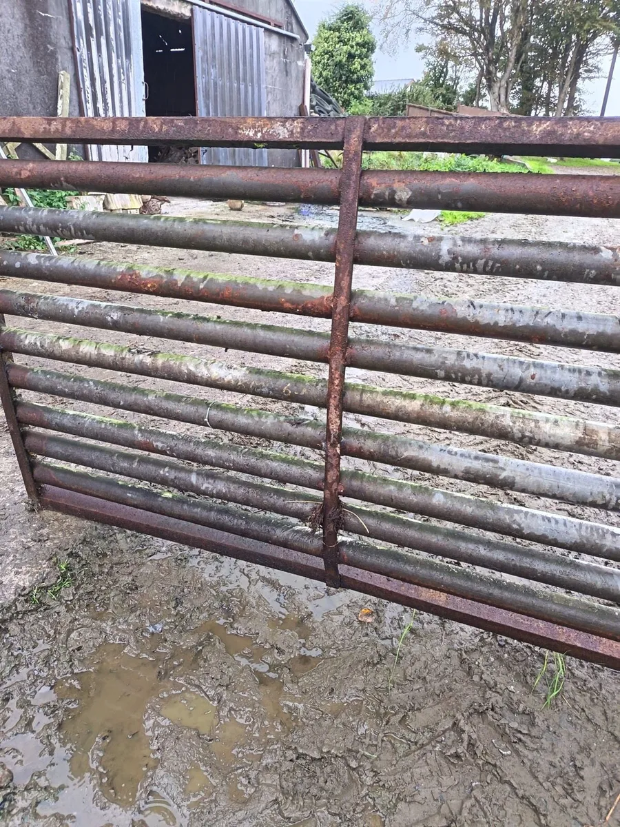 12ft cattle grid - Image 2