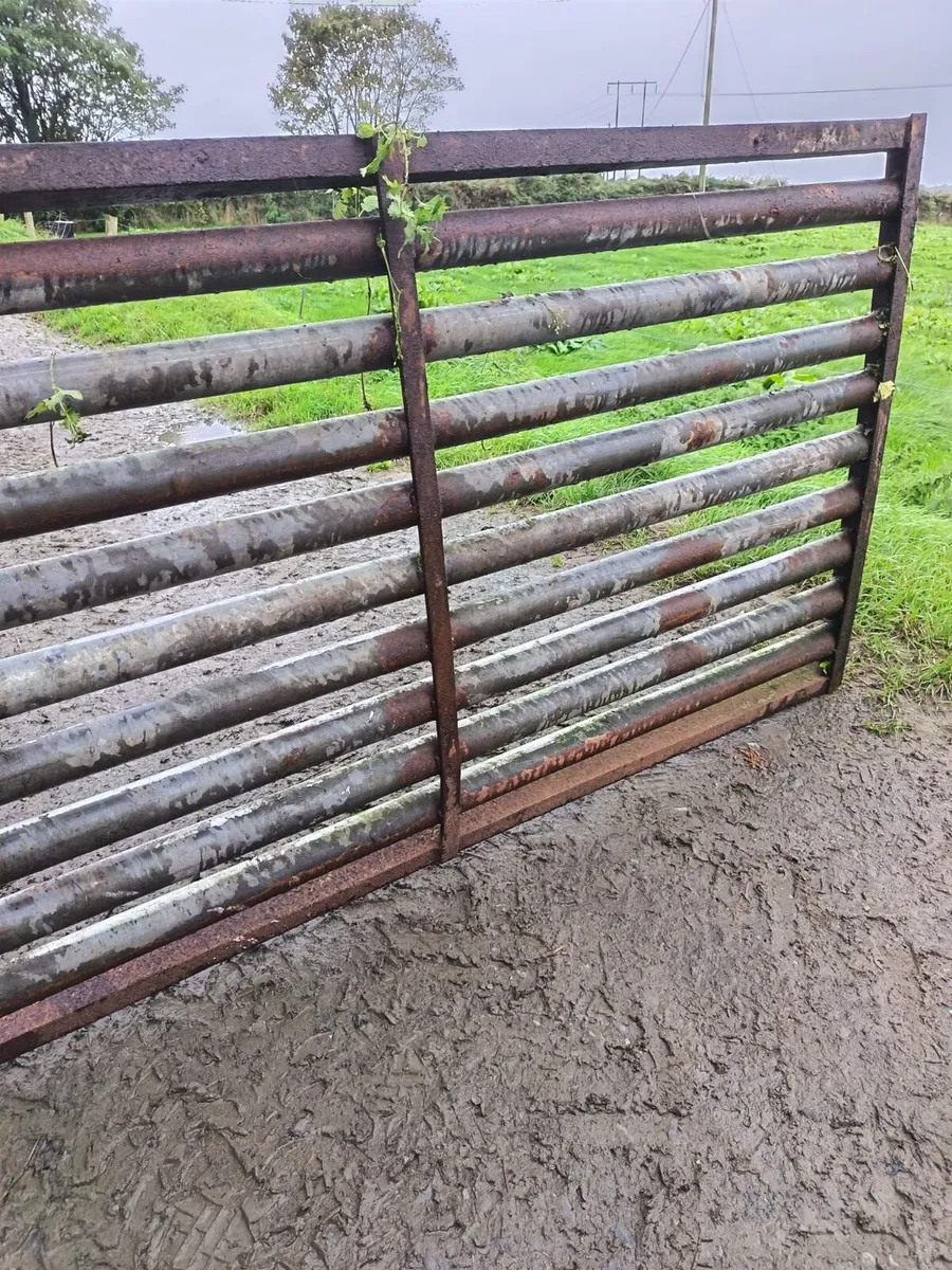 12ft cattle grid - Image 4