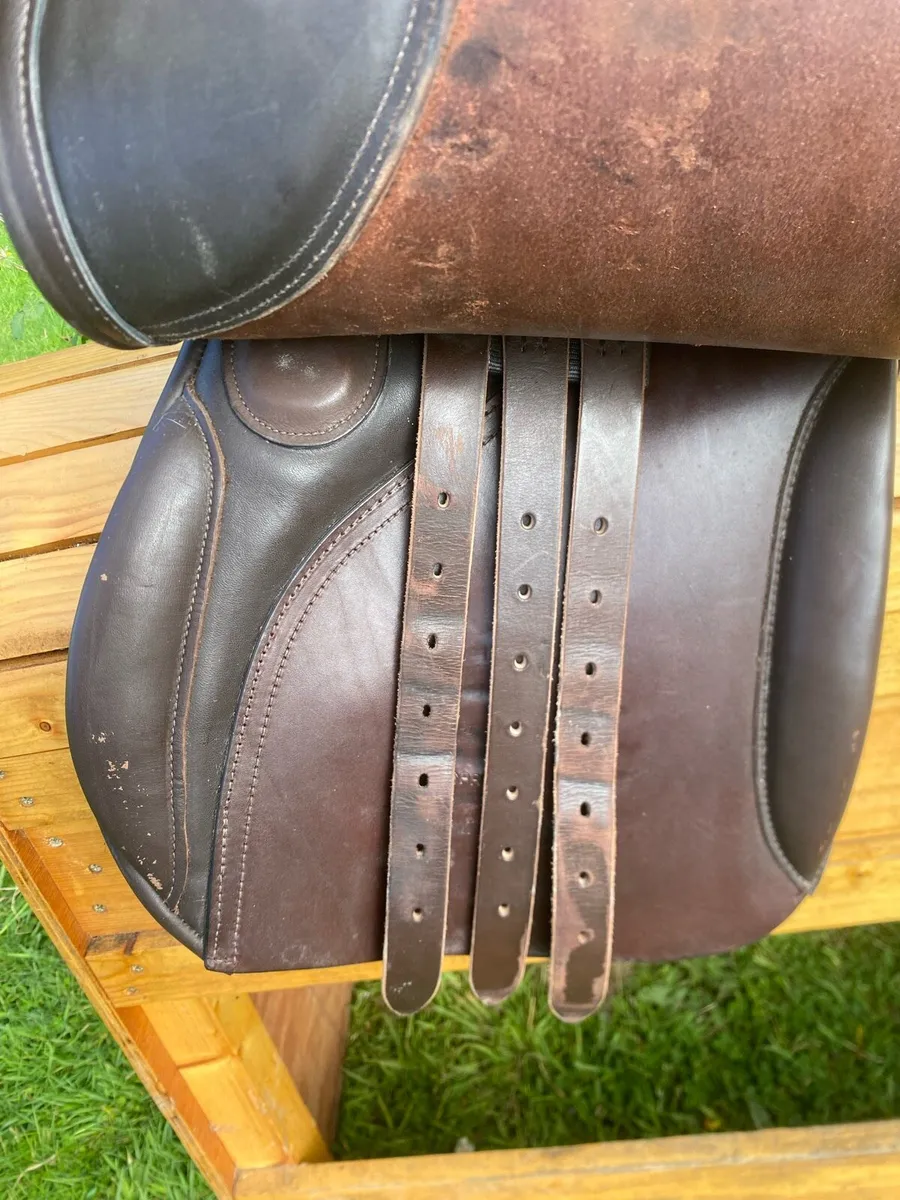 17-17.5” brown Leather jump saddle - Image 3