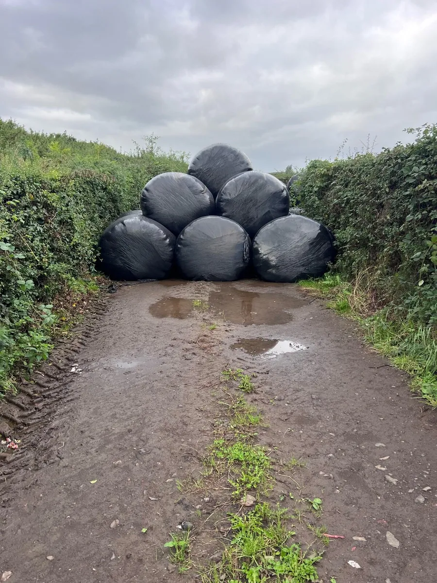 Round bales silage