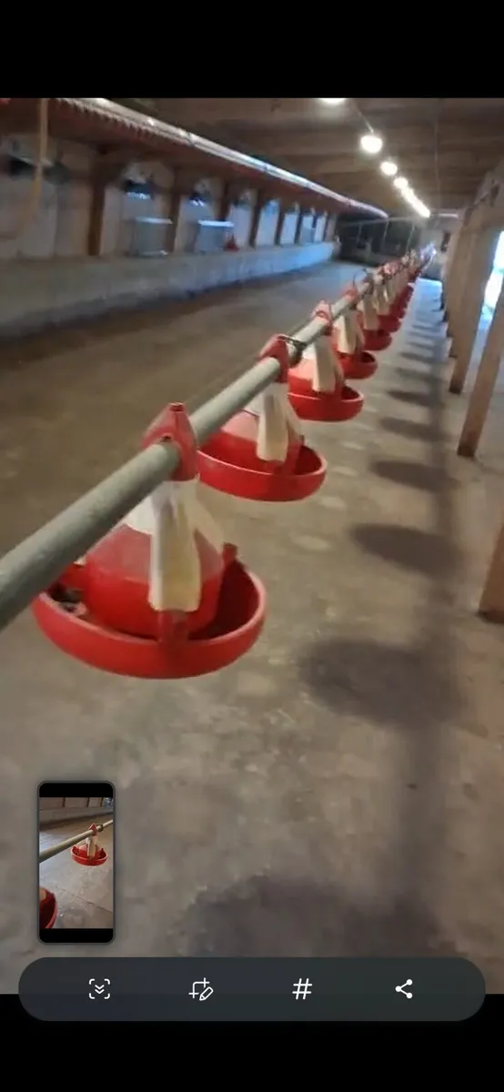 Poultry Auger feeder - Image 3