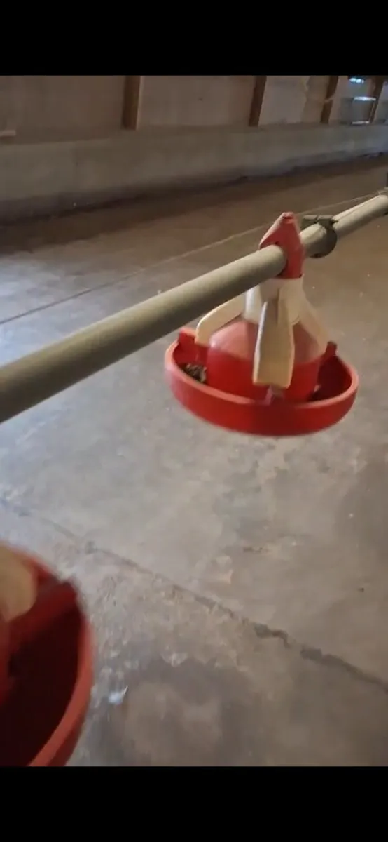 Poultry Auger feeder - Image 1