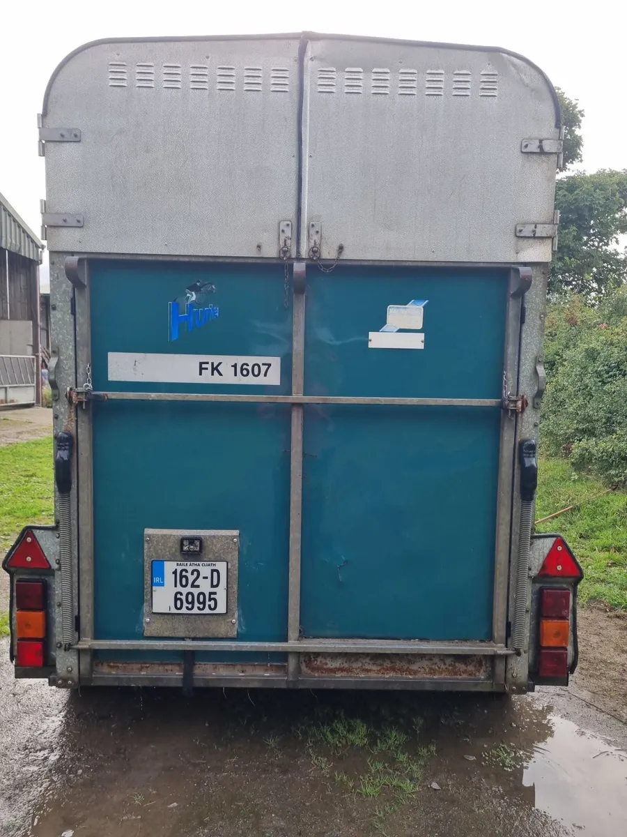 Ifor Williams 505 horsebox - Image 4