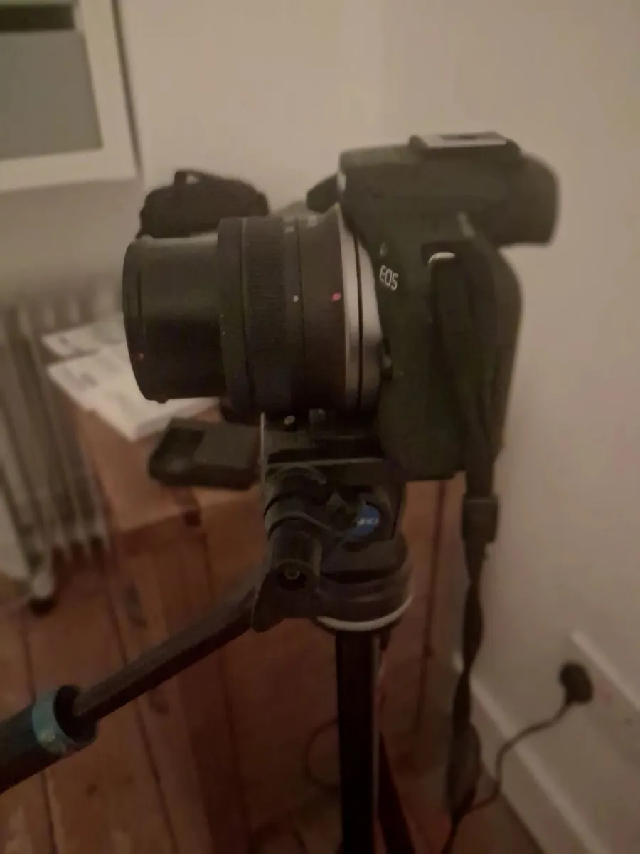 Canon Professional Camera, Lens and Tripod - Image 4