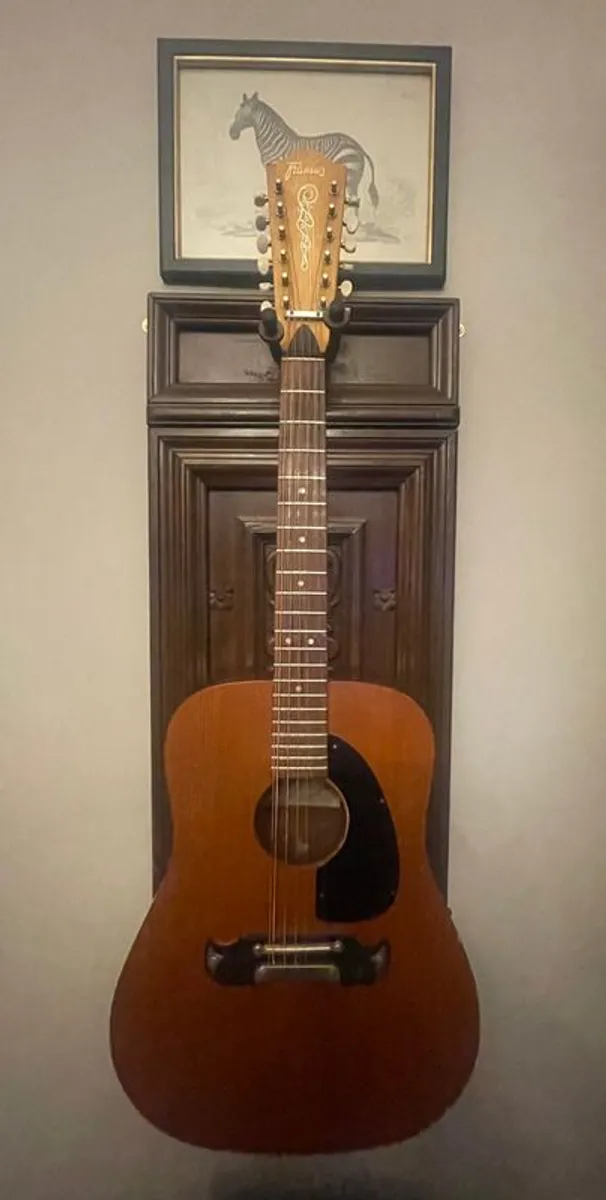 Vintage Framus - Image 2