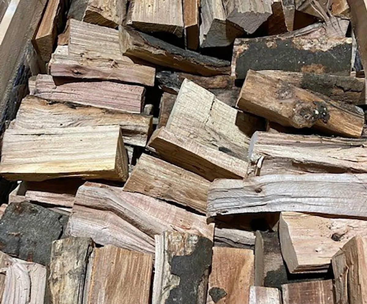 Beech Firewood
