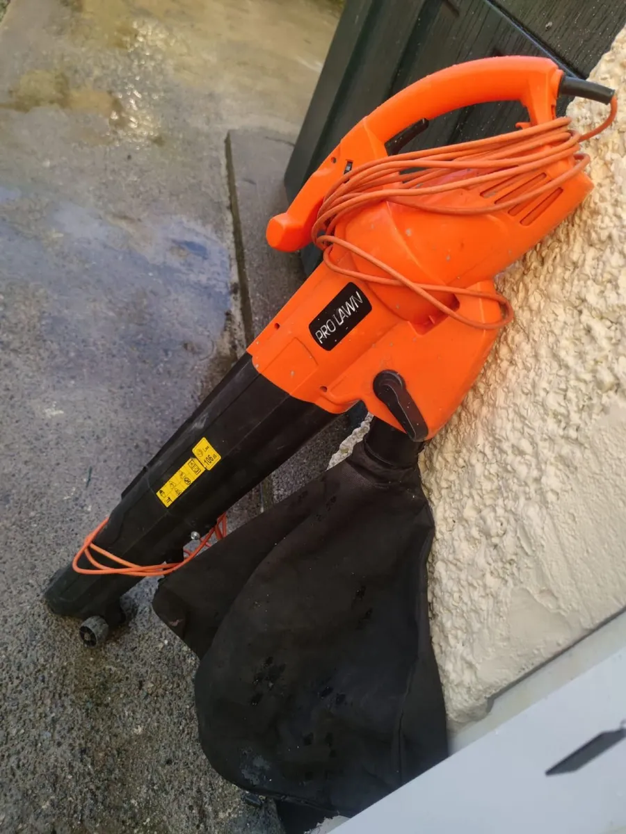 Prolawn electric leaf blower - Image 1