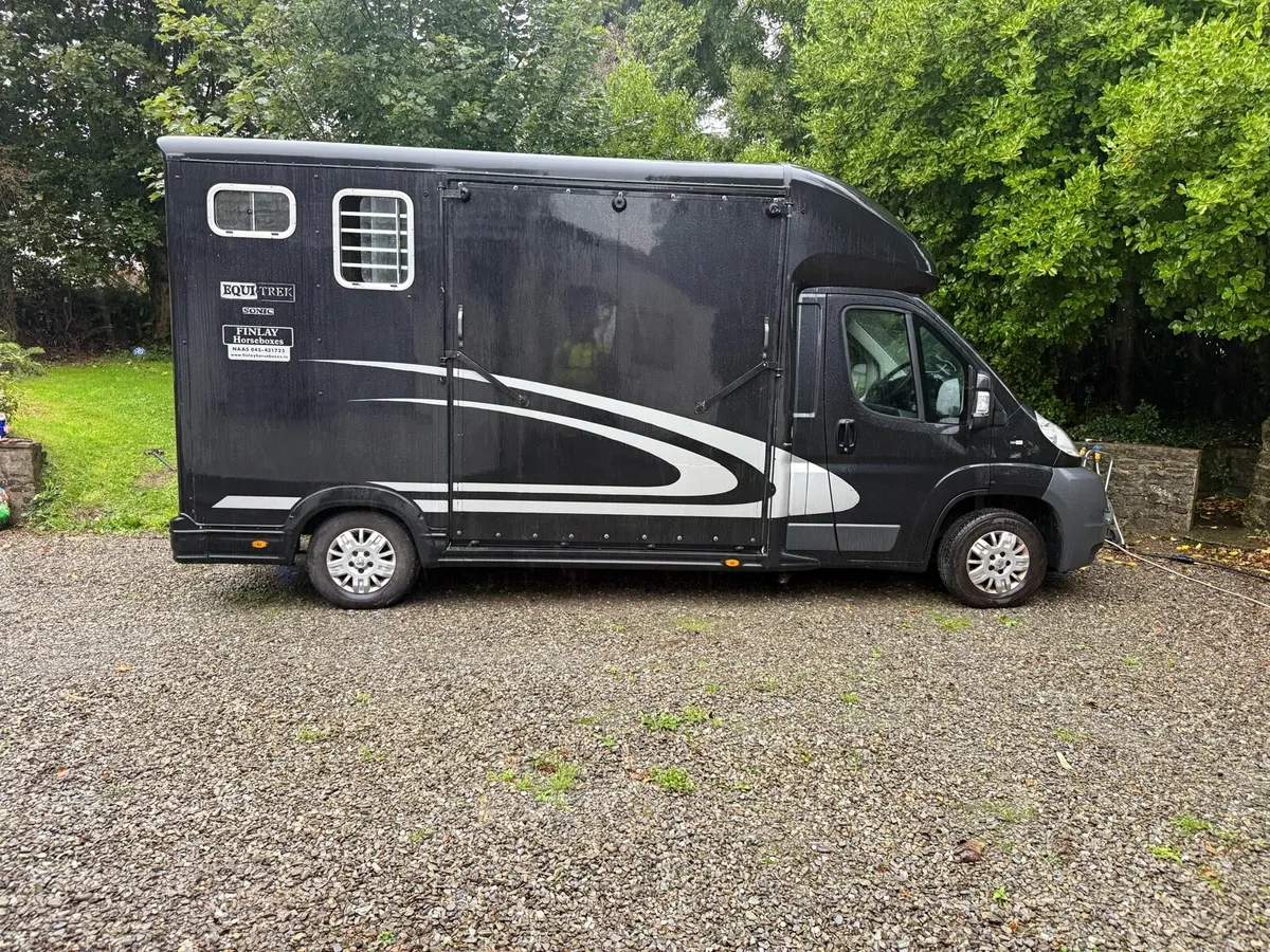 Peugeot Boxer horse van - Image 1