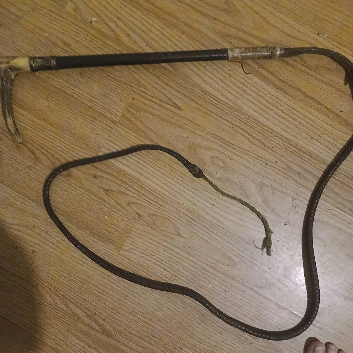 Horse man whip - Image 1
