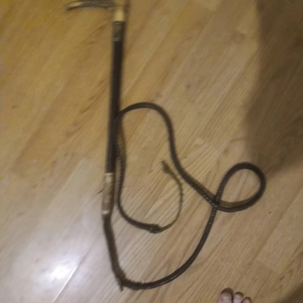 Horse man whip - Image 2