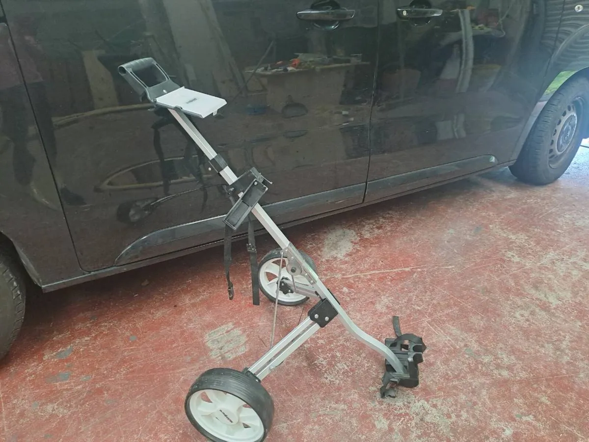 Golf buggy - Image 2