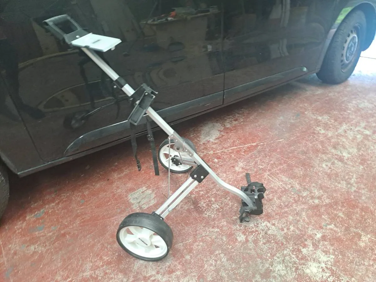 Golf buggy - Image 3