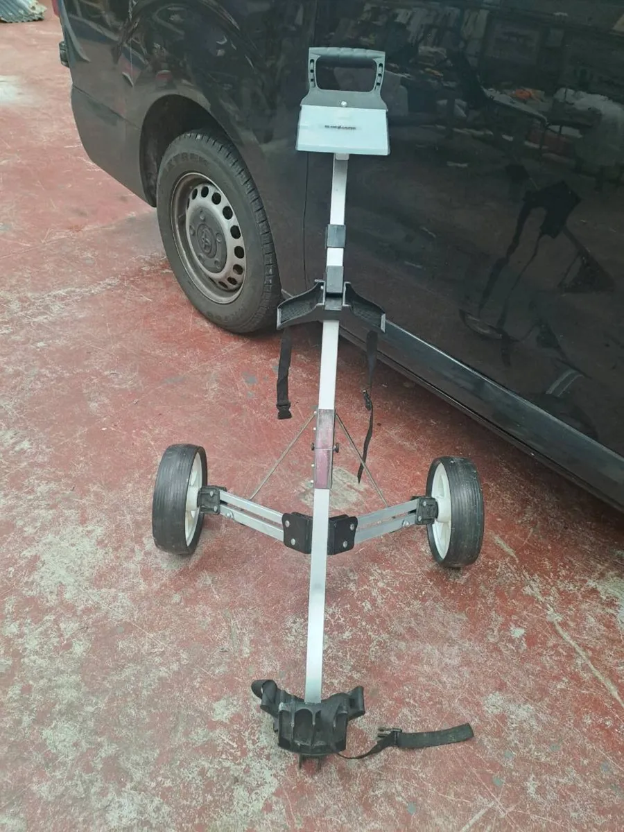 Golf buggy - Image 4