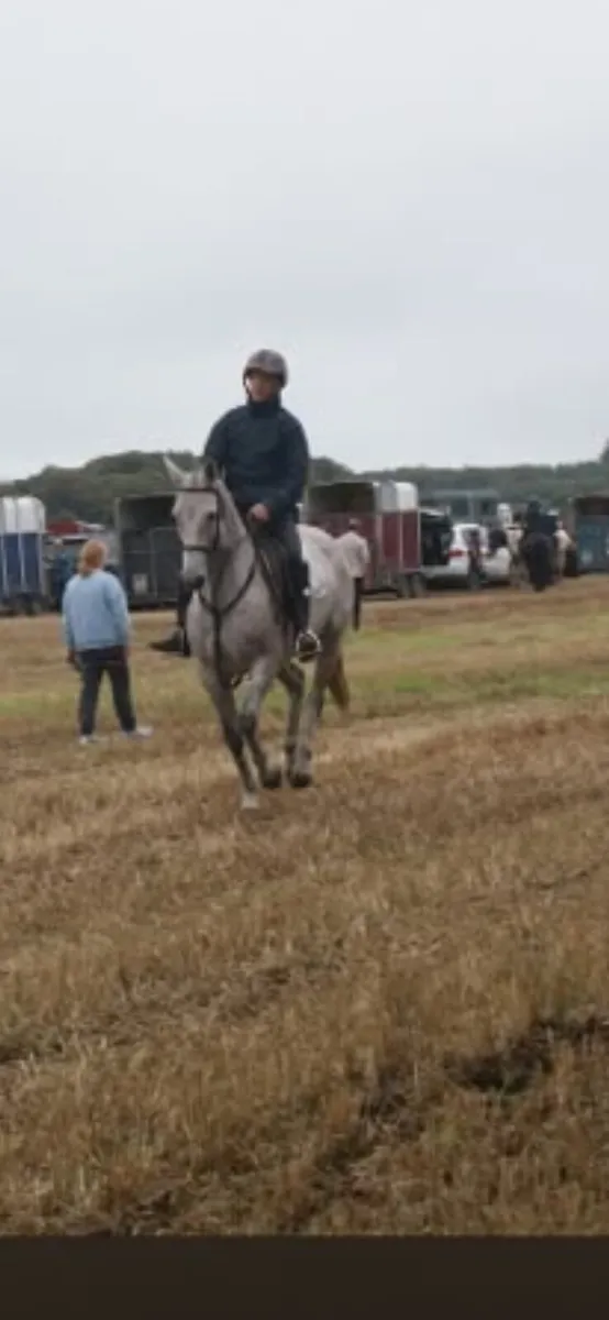 9 yr old All rounder 14.2 - Image 1