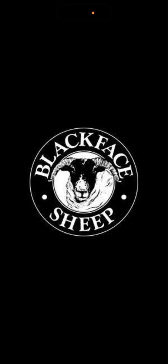 Waterford Blackface Sheep Breeders - Image 3