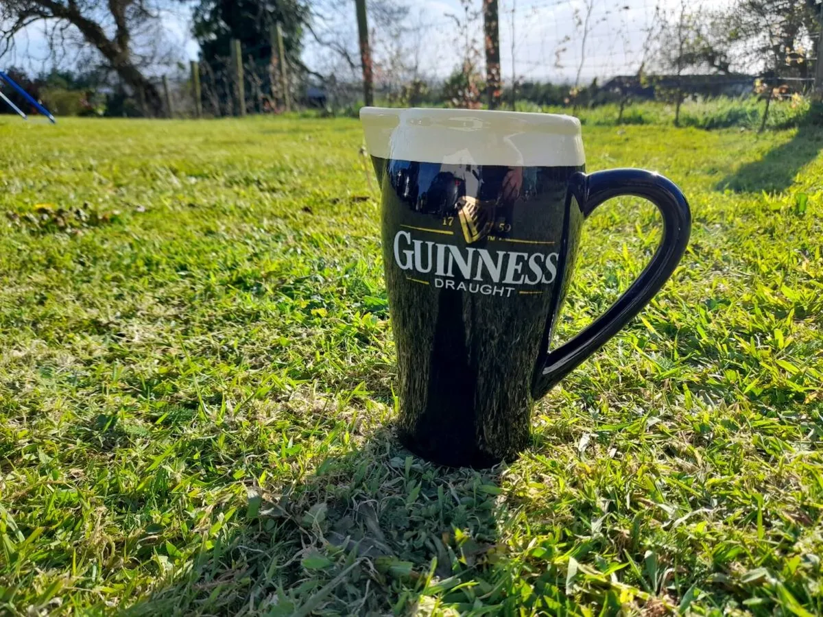 Guinness Pub Jug - Image 1