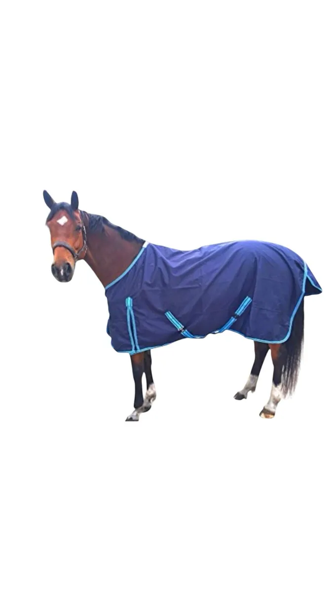 Rain sheet - Image 1